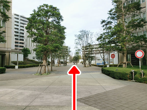 柏の葉キャンパス店への道順5