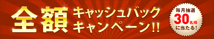 修理費用全額キャッシュバックキャンペーン!