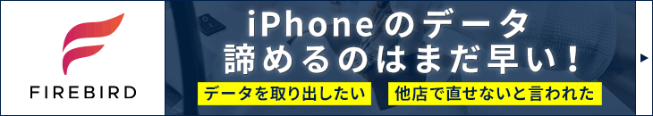 iPhone基板修理FIREBIRD