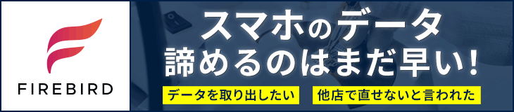 iPhoneデータ復旧 FIREBIRD